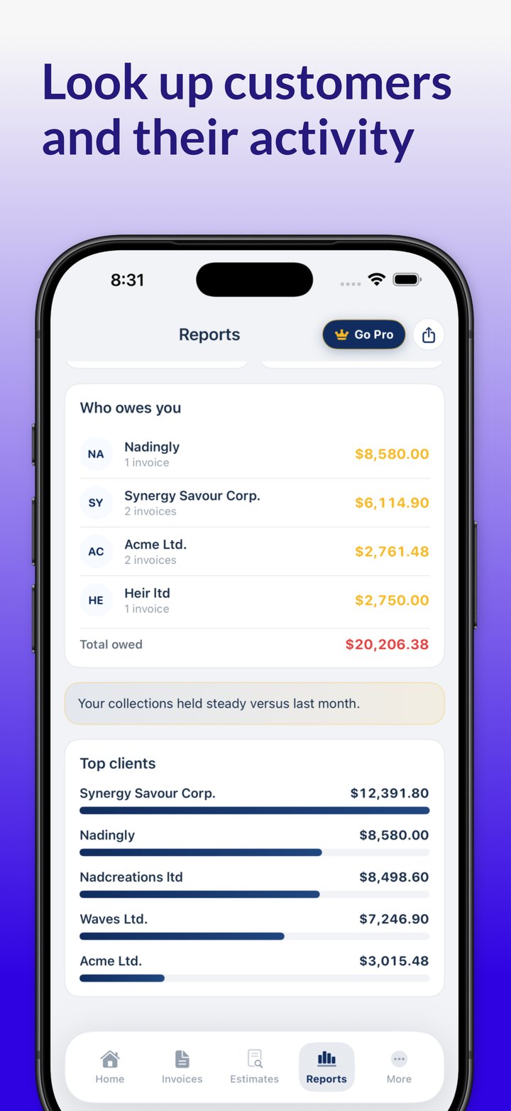 Customer balances showing who owes you and your top clients
